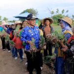 Dikepung Beton, Sawah Tangerang Tetap Menghasilkan